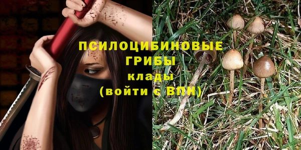 мдма Михайловка