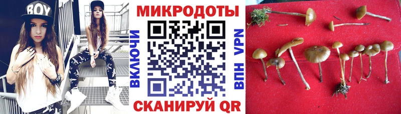 Псилоцибиновые грибы Psilocybe  цены наркотик  Верея 