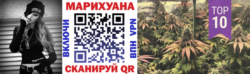 цена   Верея  Конопля тримм 